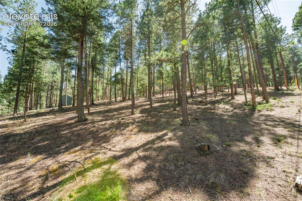196 Summer Haven Drive Woodland Park CO 80863