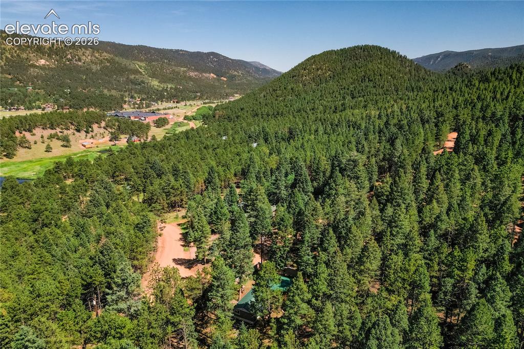 196 Summer Haven Drive Woodland Park CO 80863