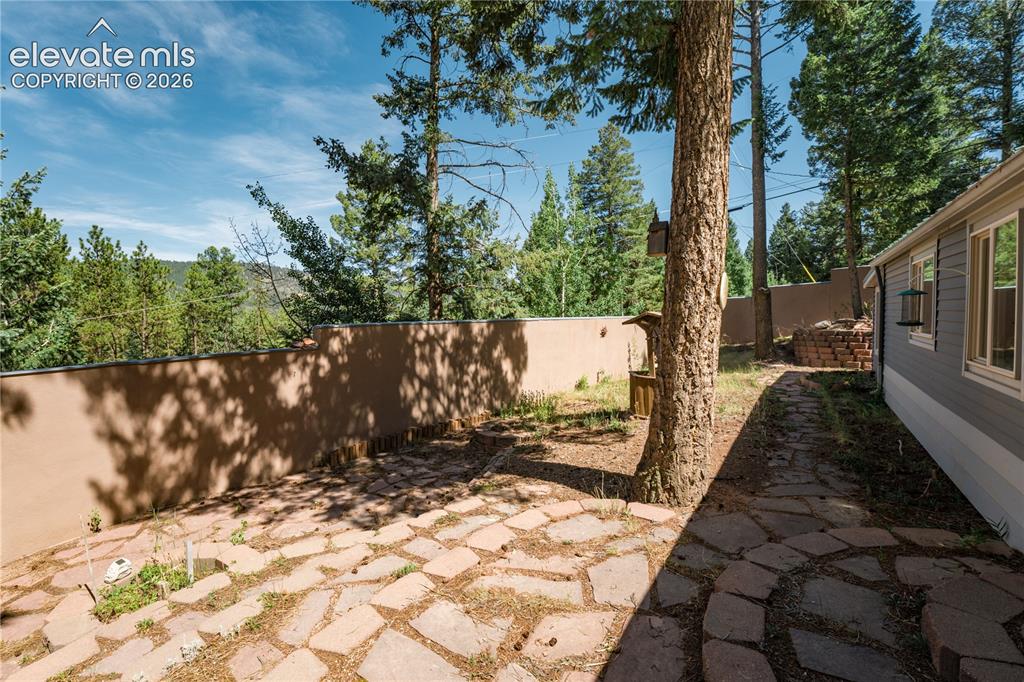 196 Summer Haven Drive Woodland Park CO 80863