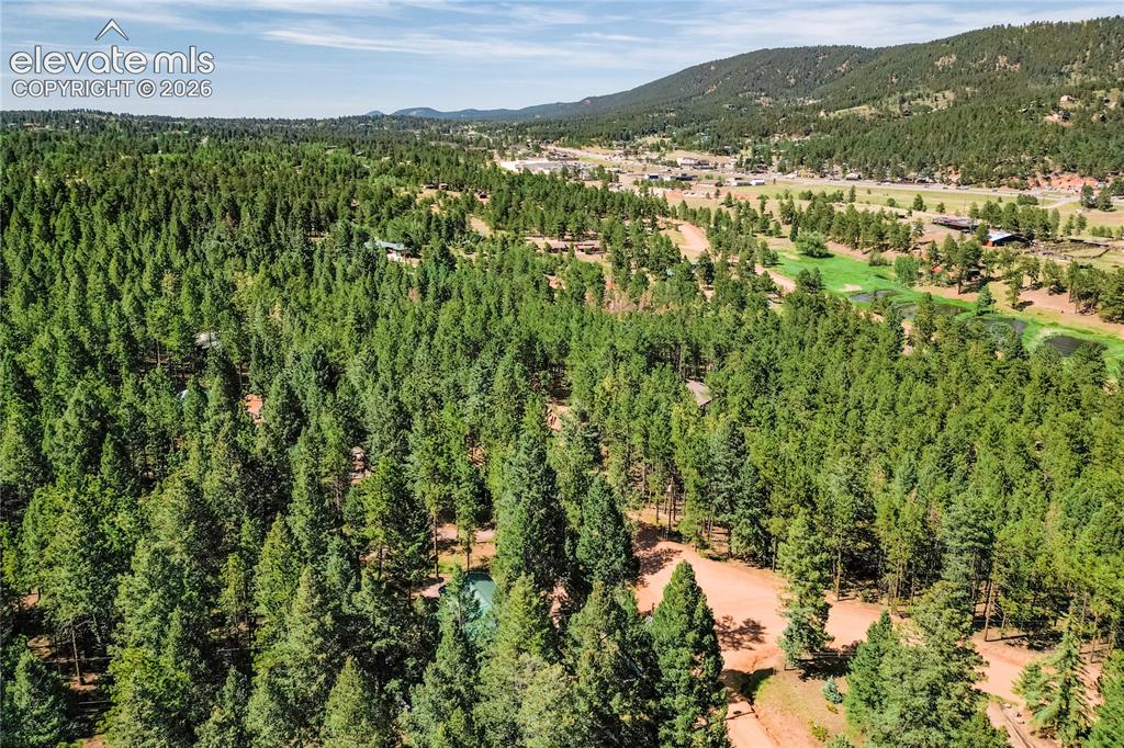 196 Summer Haven Drive Woodland Park CO 80863