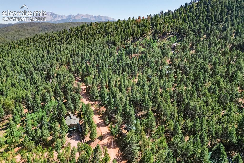 196 Summer Haven Drive Woodland Park CO 80863