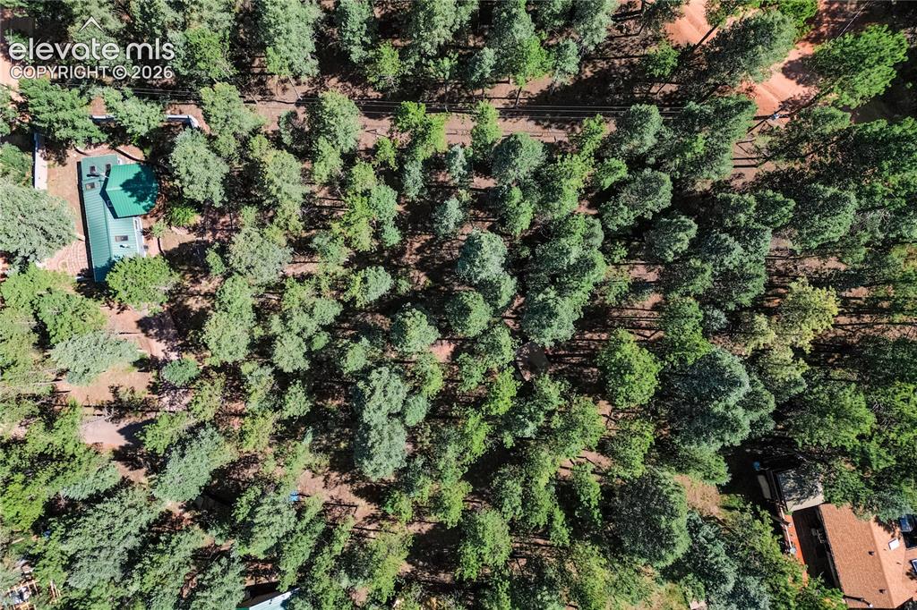 196 Summer Haven Drive Woodland Park CO 80863