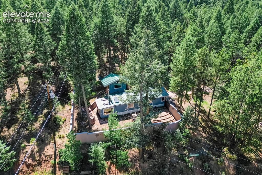 196 Summer Haven Drive Woodland Park CO 80863