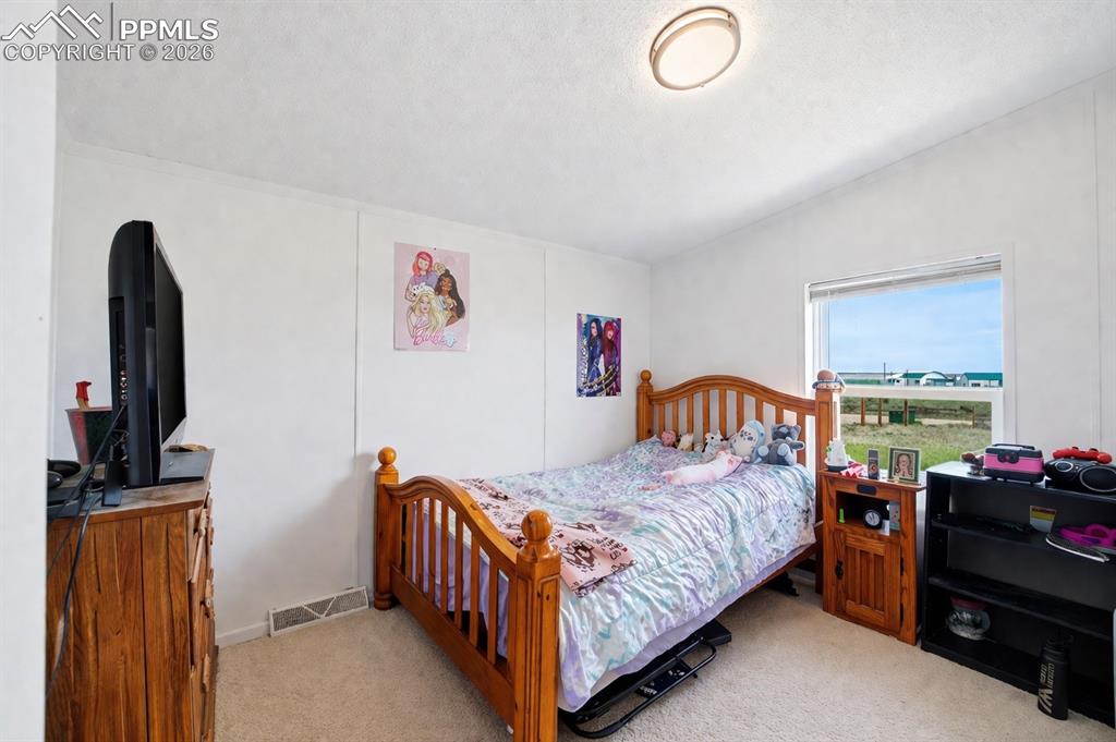 9075 Camino Del Sol Point Fountain CO 80817