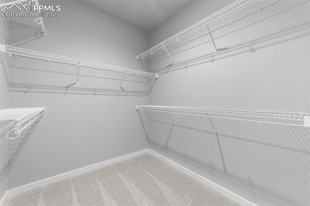 8643 Noreen Falls Drive Colorado Springs CO 80924