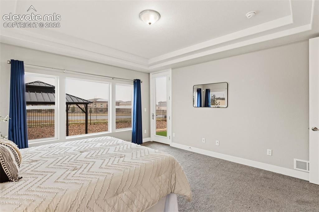 9833 Marble Canyon Way Peyton CO 80831