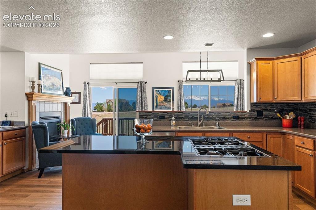 9736 Cairngorm Way Colorado Springs CO 80908