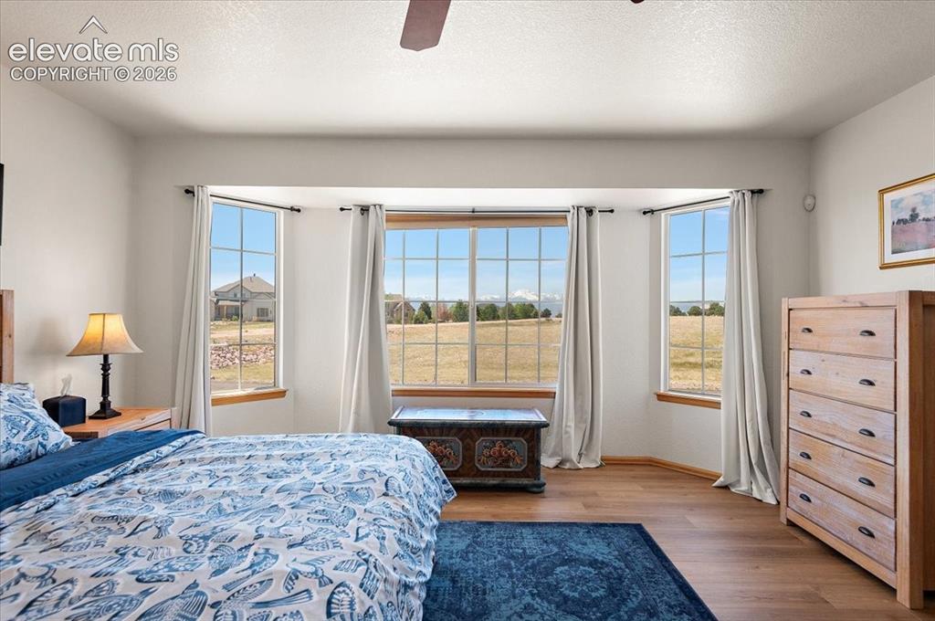 9736 Cairngorm Way Colorado Springs CO 80908
