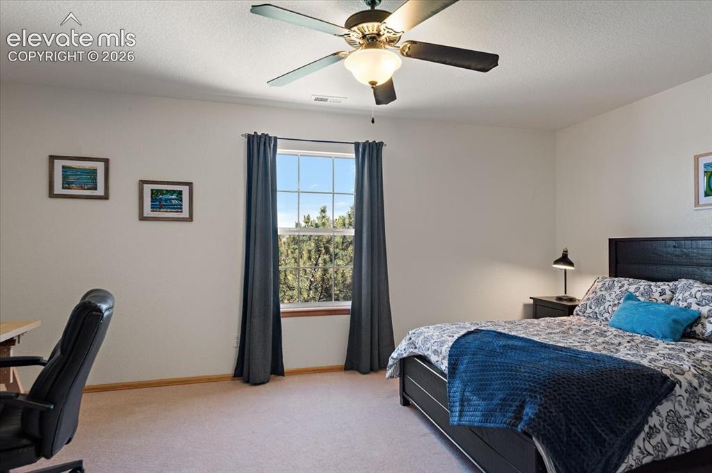 9736 Cairngorm Way Colorado Springs CO 80908