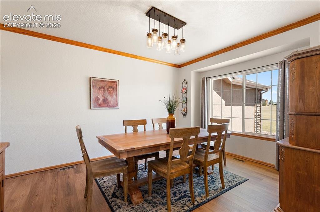 9736 Cairngorm Way Colorado Springs CO 80908