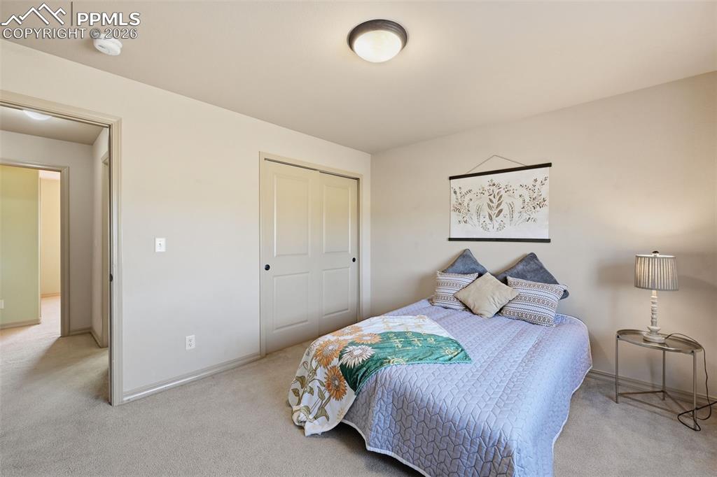 4233 Ashby Field Drive Colorado Springs CO 80922