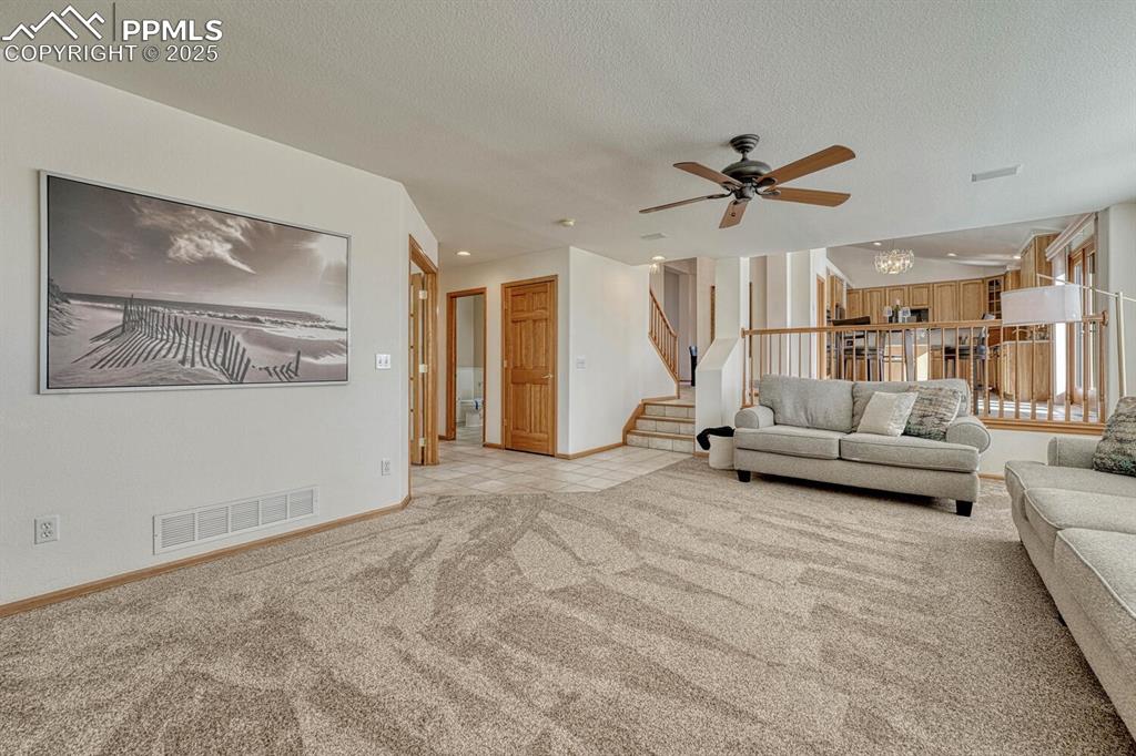 339 Sandreed Place Colorado Springs CO 80921