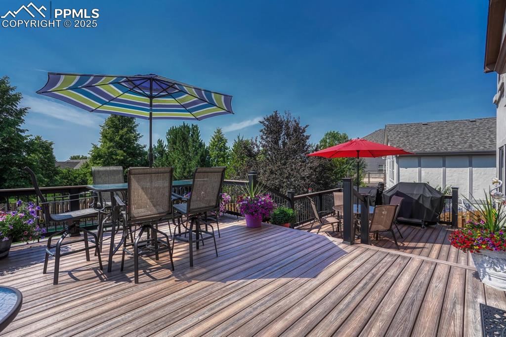 339 Sandreed Place Colorado Springs CO 80921