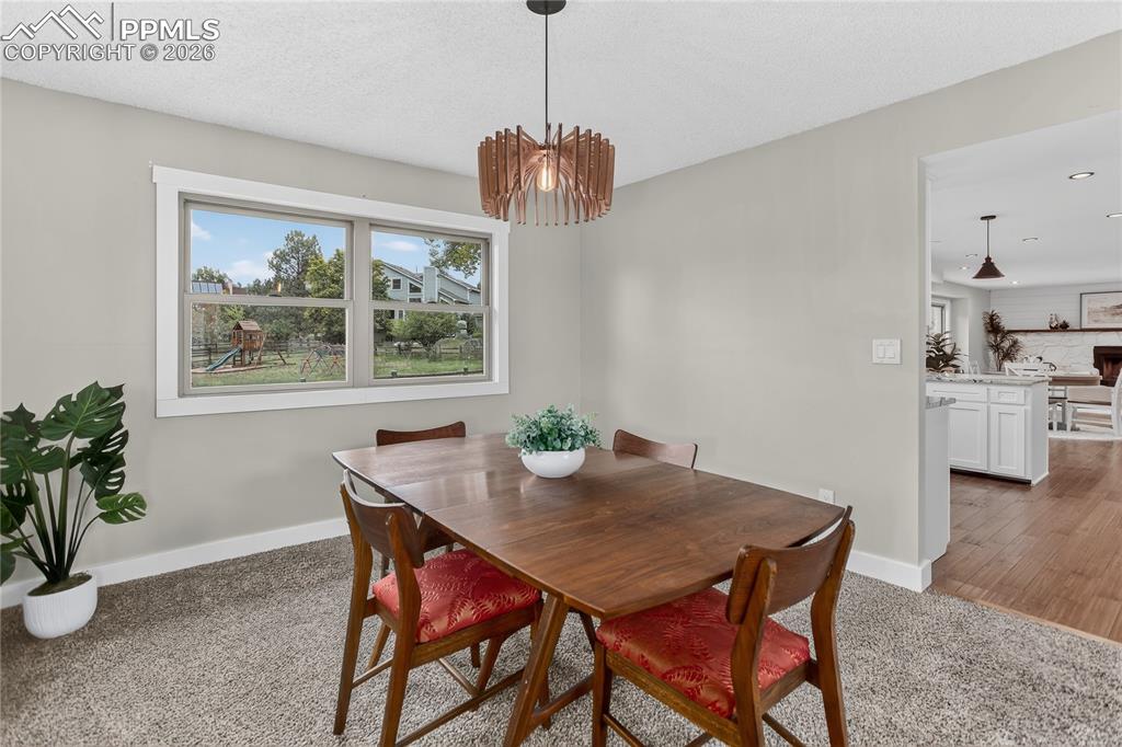 14785 Latrobe Drive Colorado Springs CO 80921