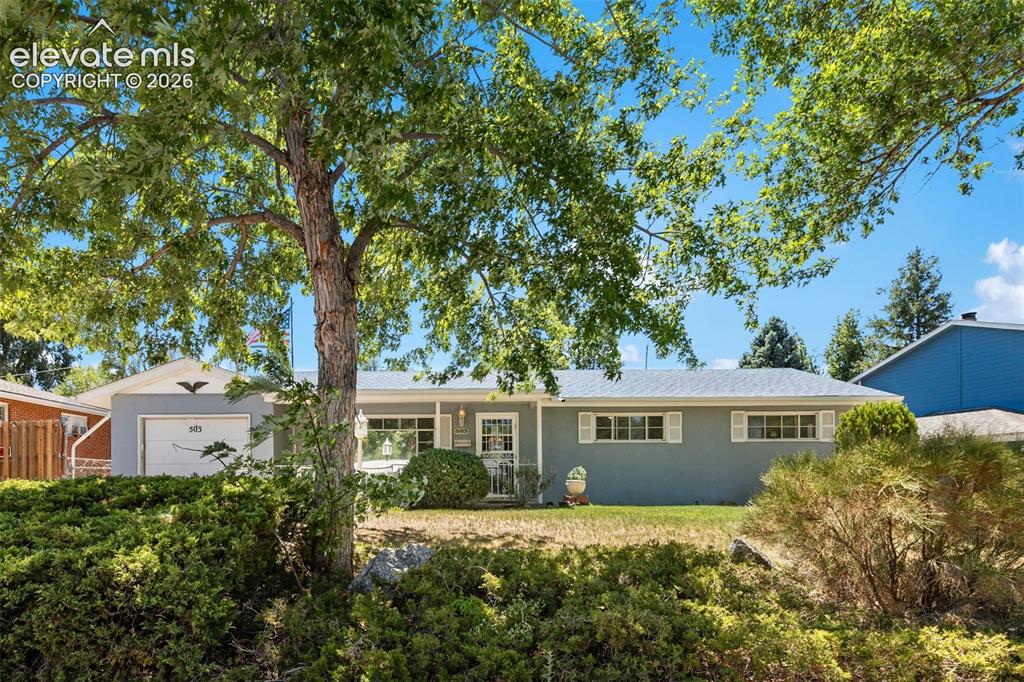 503 Sevilla Drive Colorado Springs CO 80911