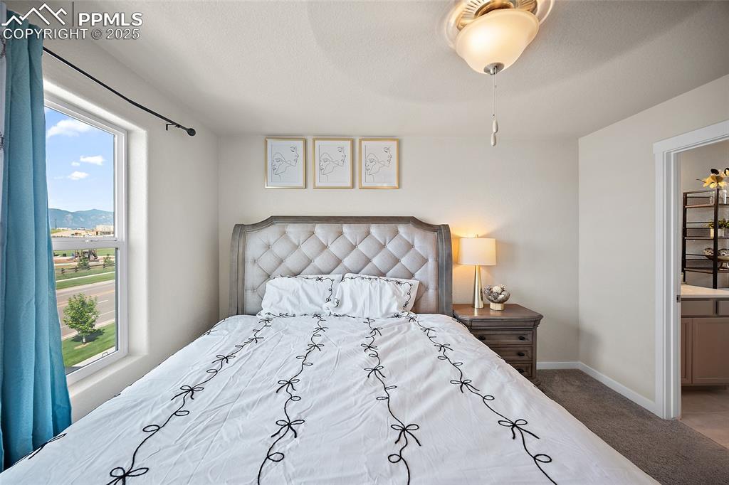 5156 Roundhouse Drive Colorado Springs CO 80925