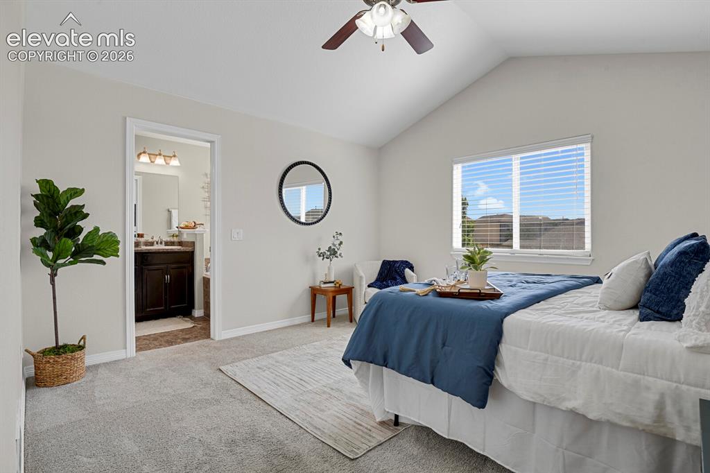 7872 Calabash Road Colorado Springs CO 80908