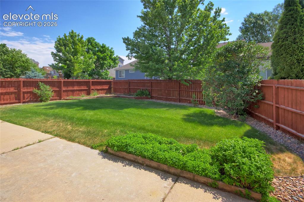 6676 Alibi Circle Colorado Springs CO 80923