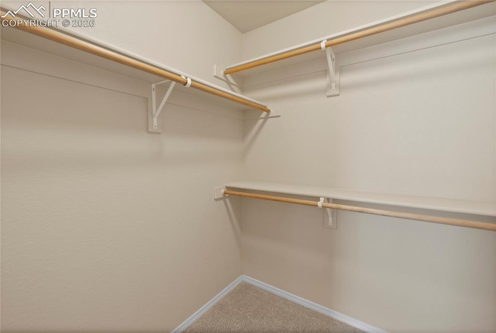 4466 College Park Court Colorado Springs CO 80918