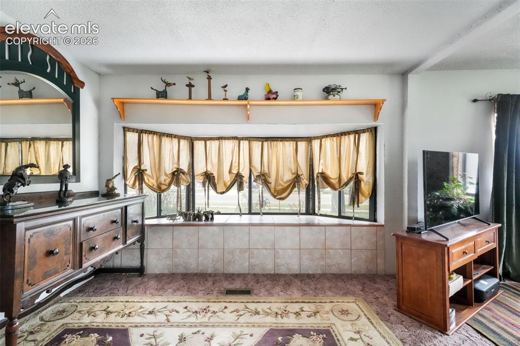 127 3rd Street Monument CO 80132