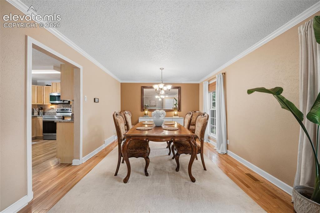 202 Blanca Court Colorado Springs CO 80919