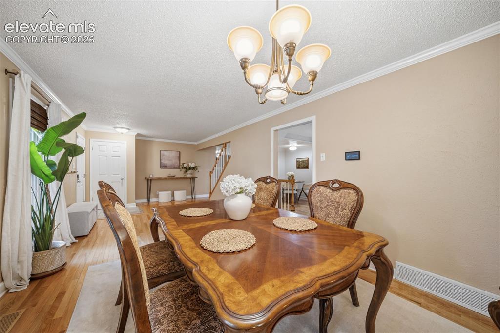 202 Blanca Court Colorado Springs CO 80919