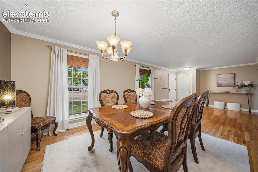 202 Blanca Court Colorado Springs CO 80919