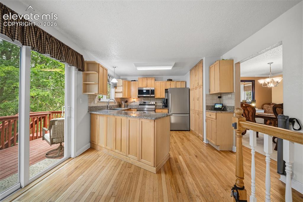 202 Blanca Court Colorado Springs CO 80919