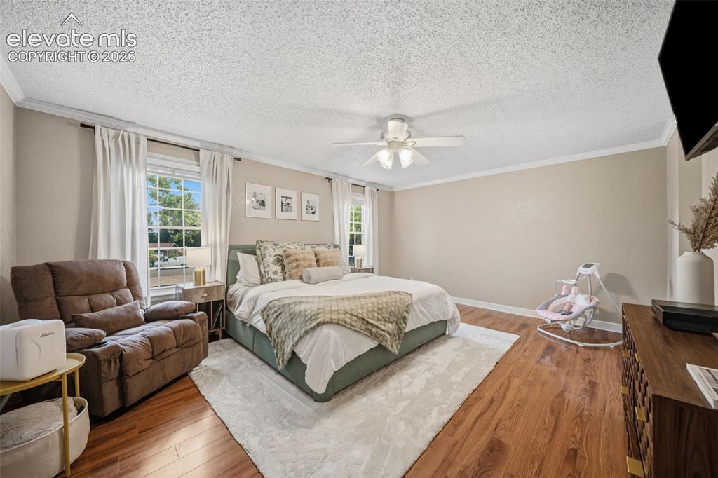 202 Blanca Court Colorado Springs CO 80919