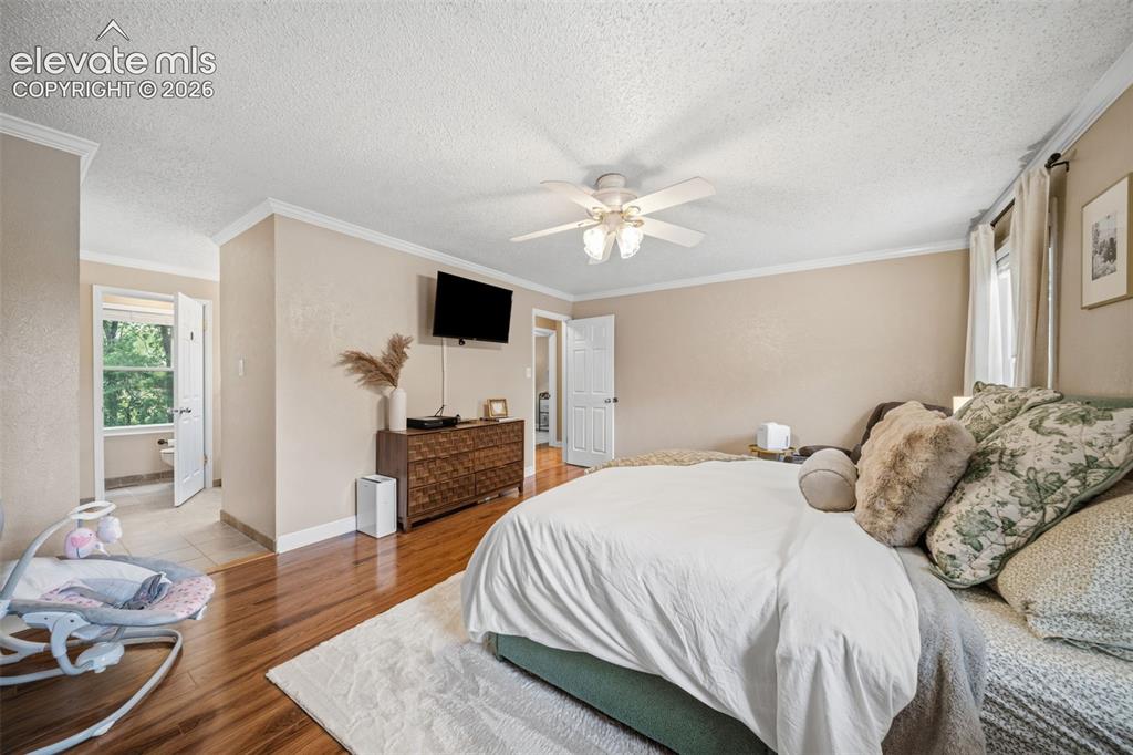 202 Blanca Court Colorado Springs CO 80919