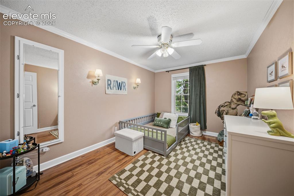 202 Blanca Court Colorado Springs CO 80919