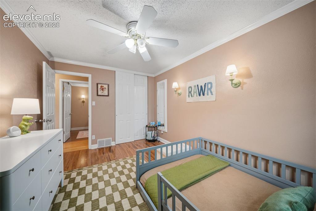 202 Blanca Court Colorado Springs CO 80919