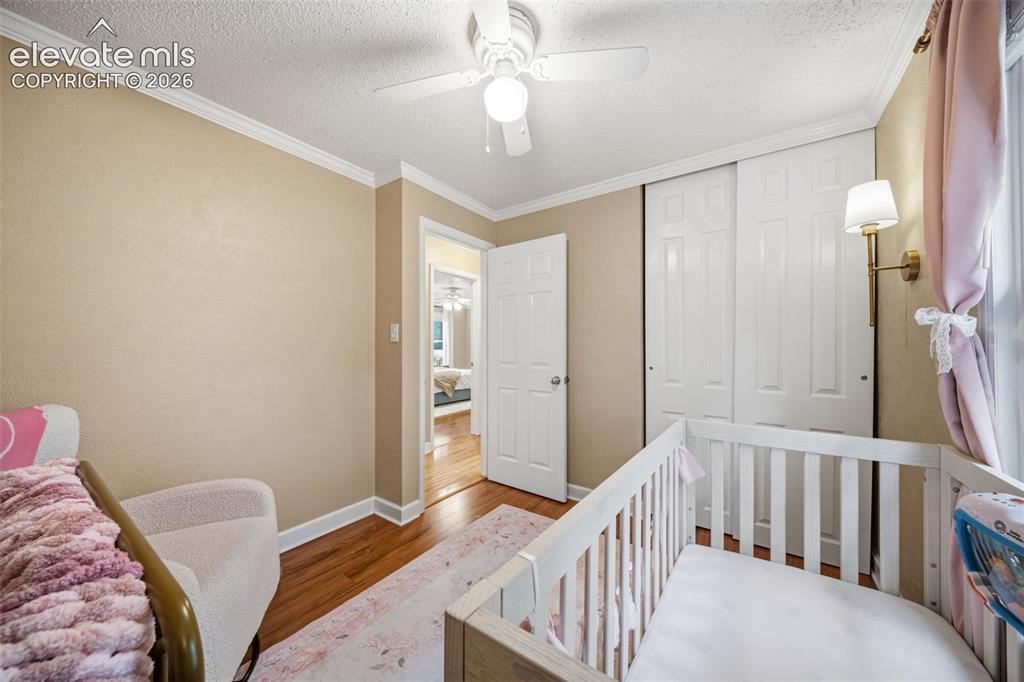 202 Blanca Court Colorado Springs CO 80919