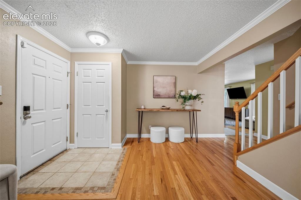 202 Blanca Court Colorado Springs CO 80919