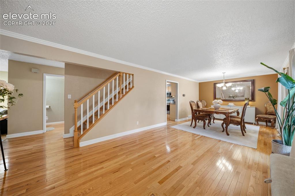 202 Blanca Court Colorado Springs CO 80919