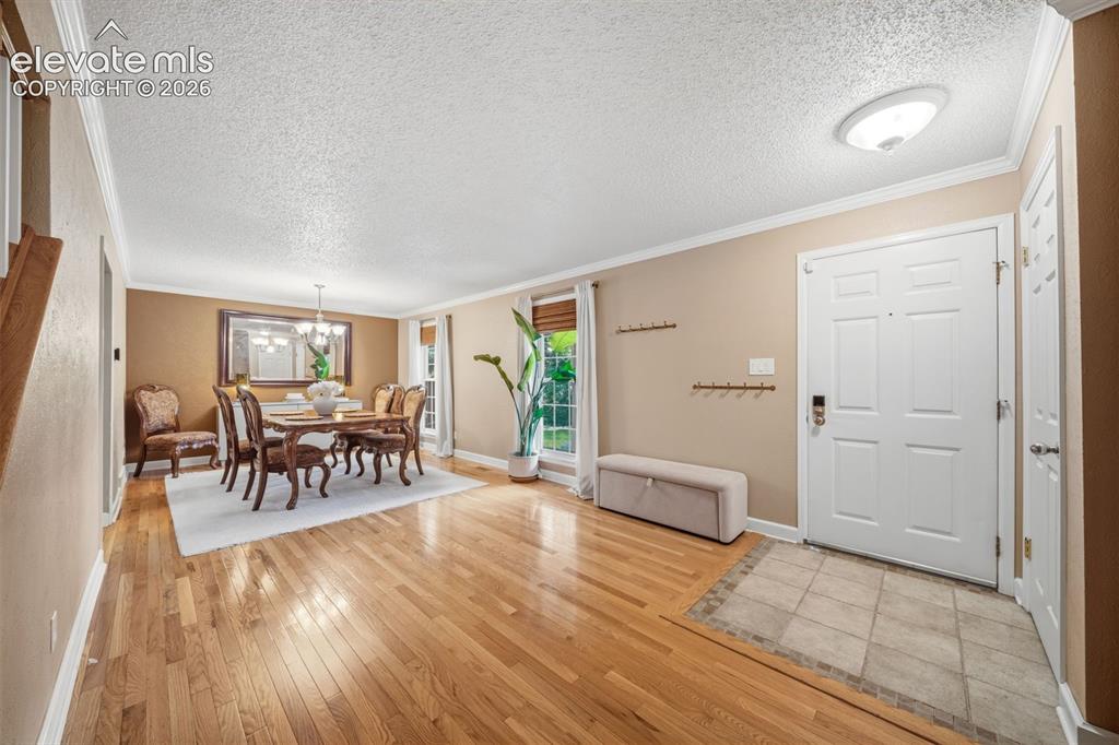 202 Blanca Court Colorado Springs CO 80919