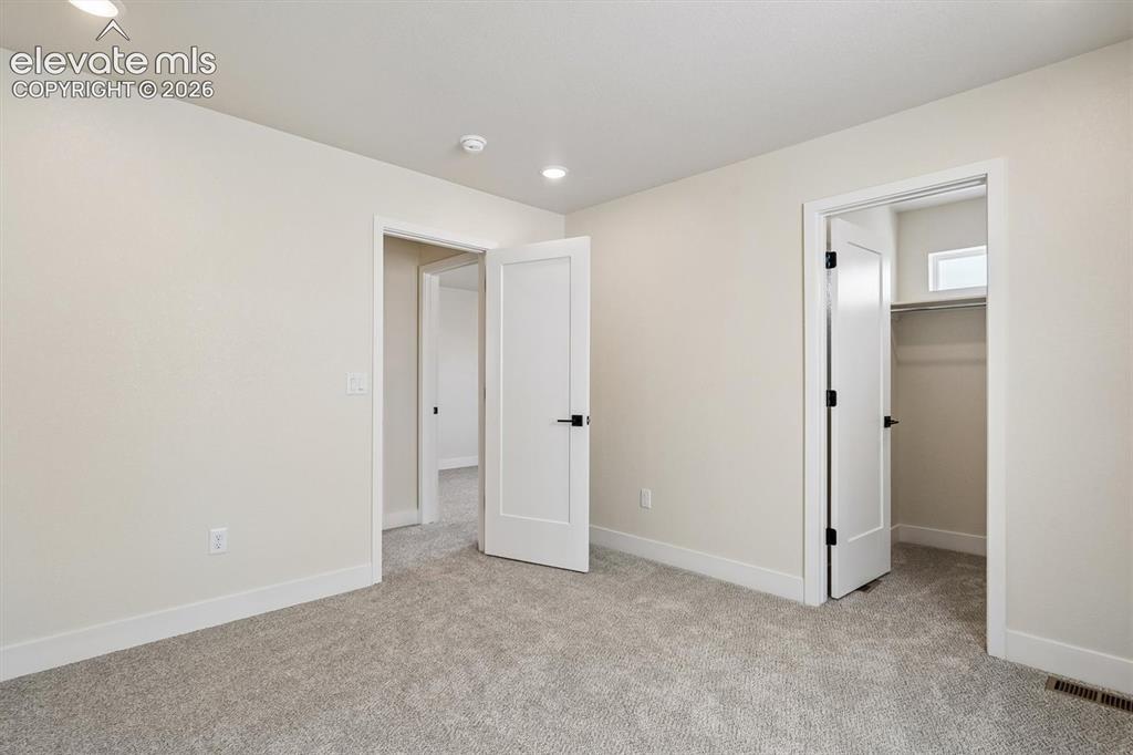 3089 Curly Grove Colorado Springs CO 80922