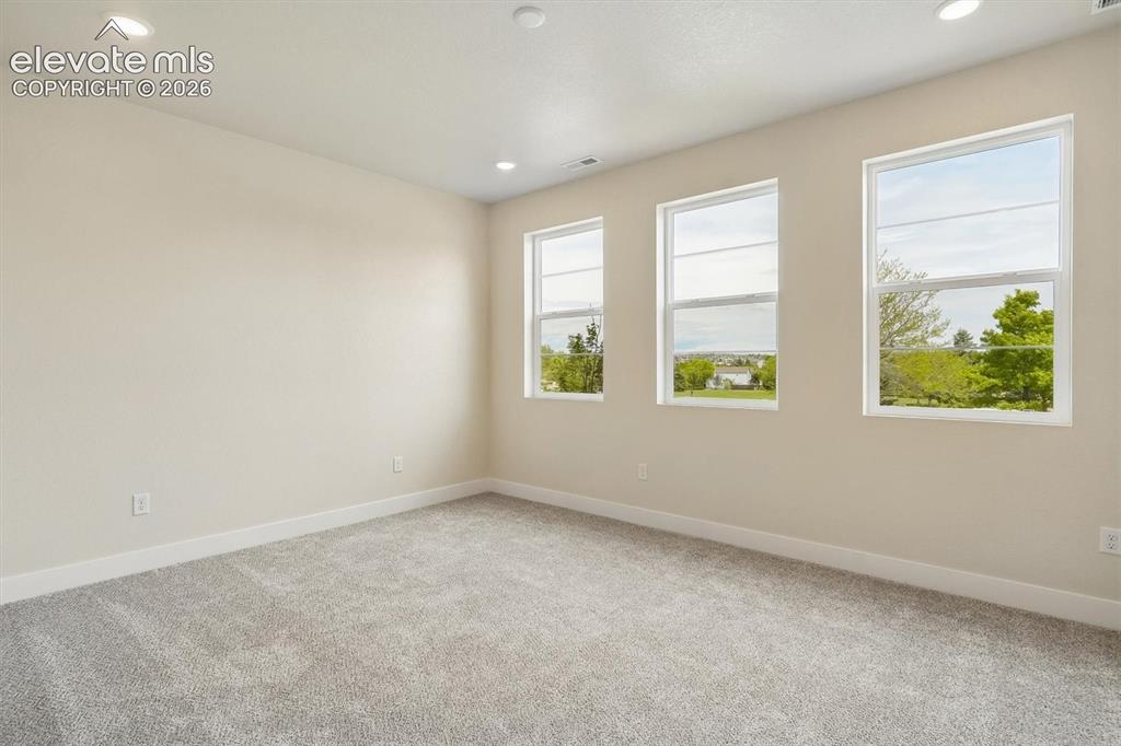 3089 Curly Grove Colorado Springs CO 80922