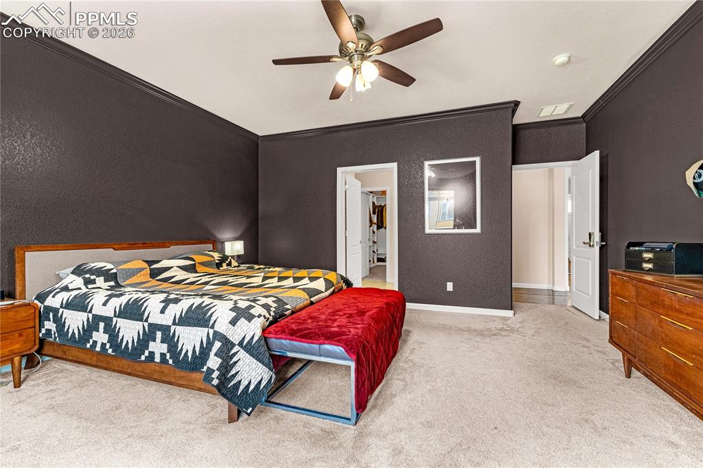 7115 Mountain Spruce Drive Colorado Springs CO 80927