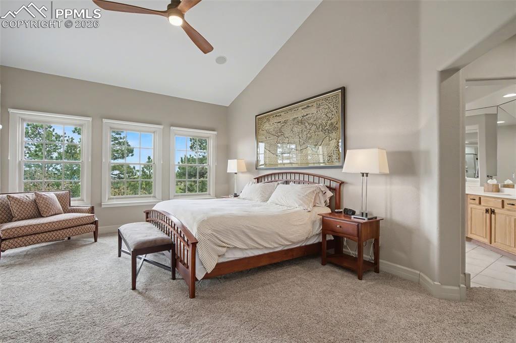 4445 Governors Point Colorado Springs CO 80906