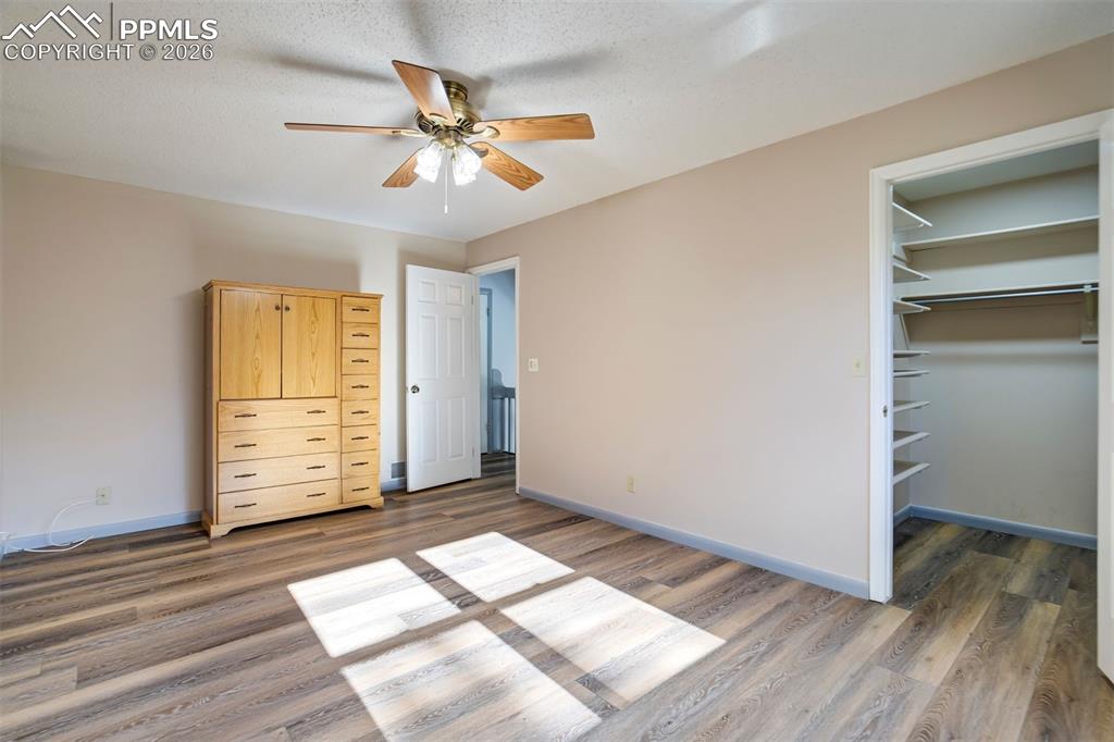 2955 Reuben Drive Colorado Springs CO 80918