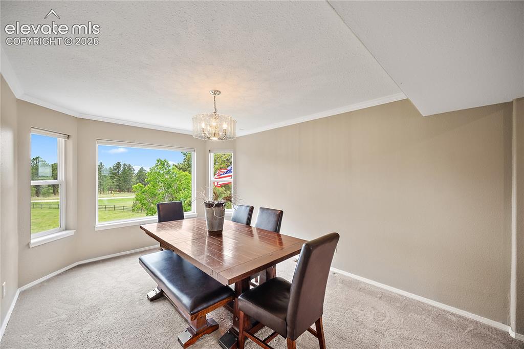 7950 Wranglers Way Colorado Springs CO 80908