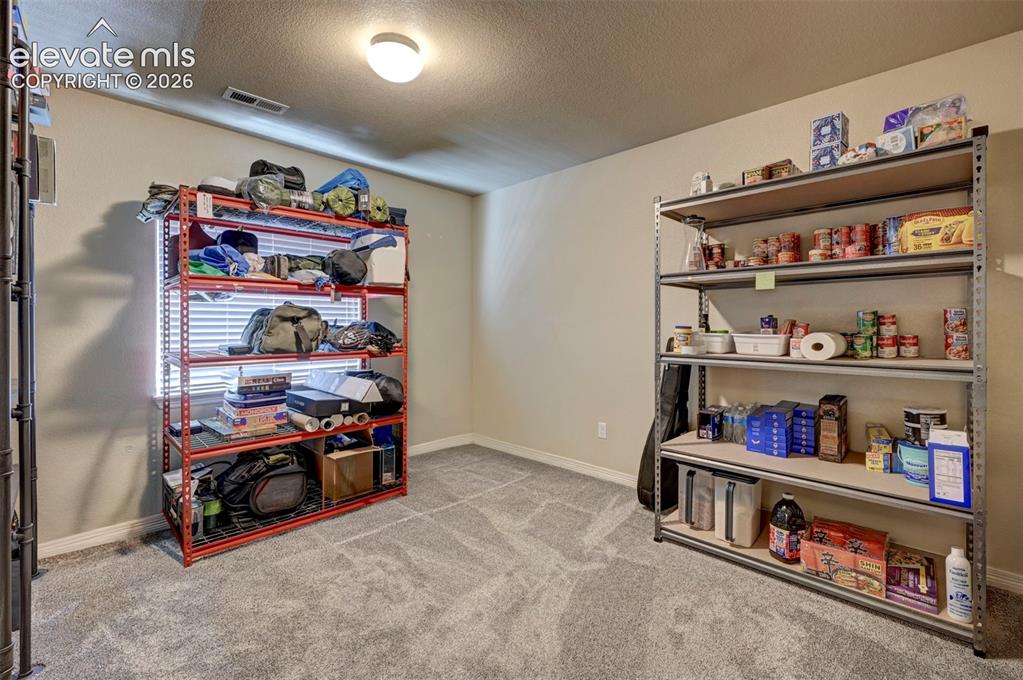 13713 Park Meadows Drive Peyton CO 80831