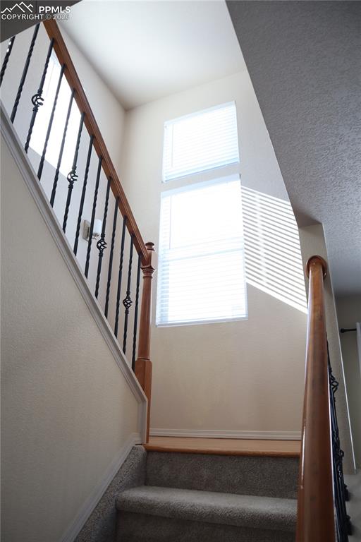 7730 Condessa Drive Colorado Springs CO 80923