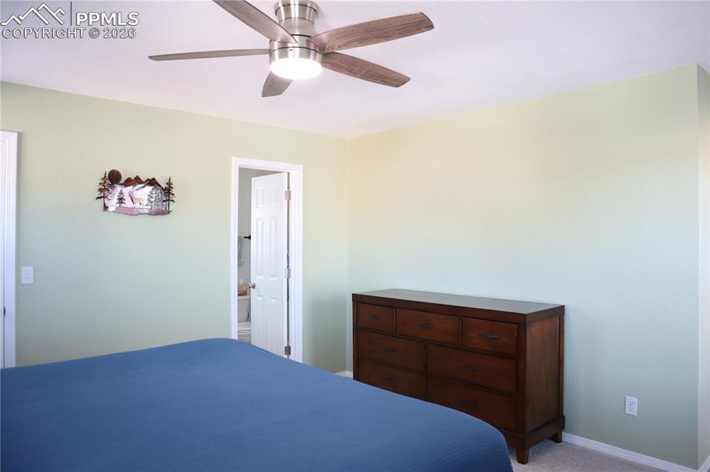 7730 Condessa Drive Colorado Springs CO 80923