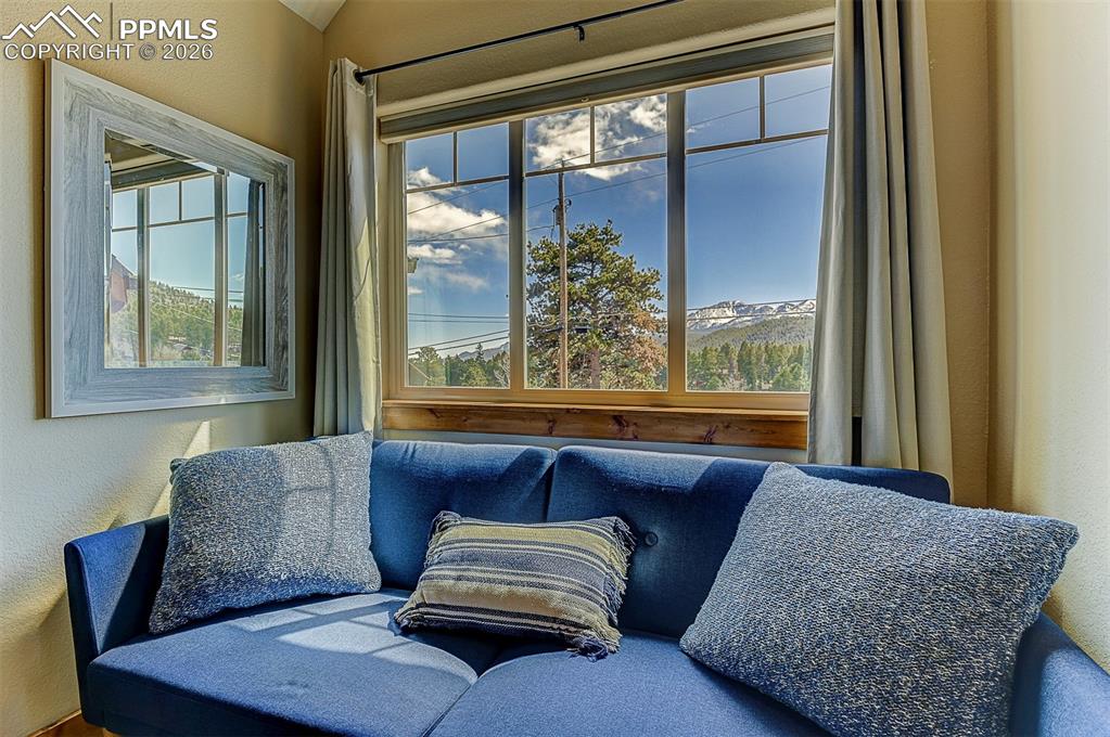 140 Dewell Road Woodland Park CO 80863