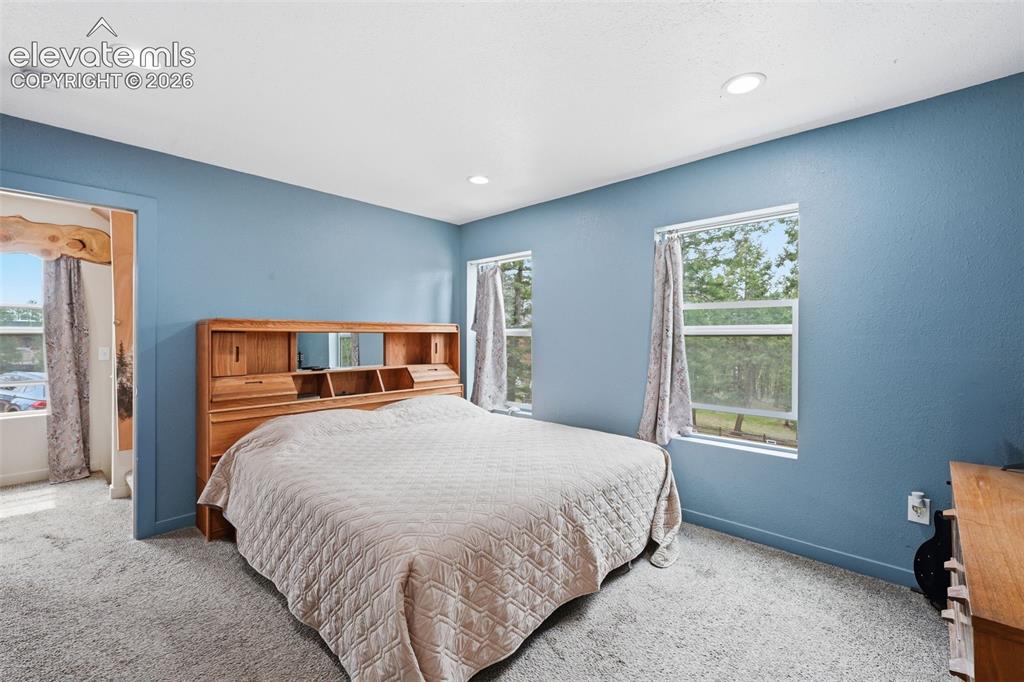 1625 N Mountain Estates Road Florissant CO 80816