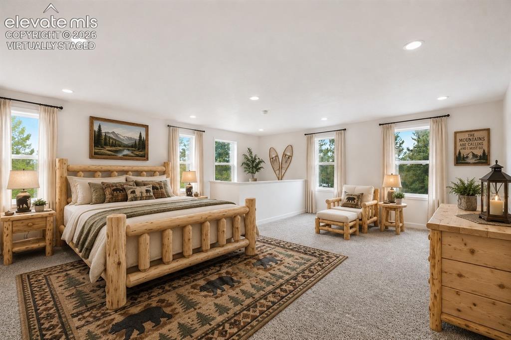 1625 N Mountain Estates Road Florissant CO 80816