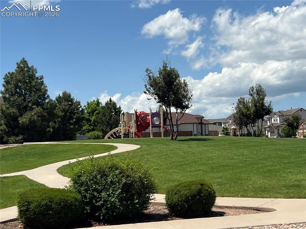 7856 Calabash Road Colorado Springs CO 80908