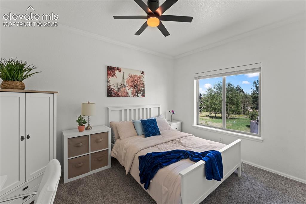 106 Joshua Road Divide CO 80814